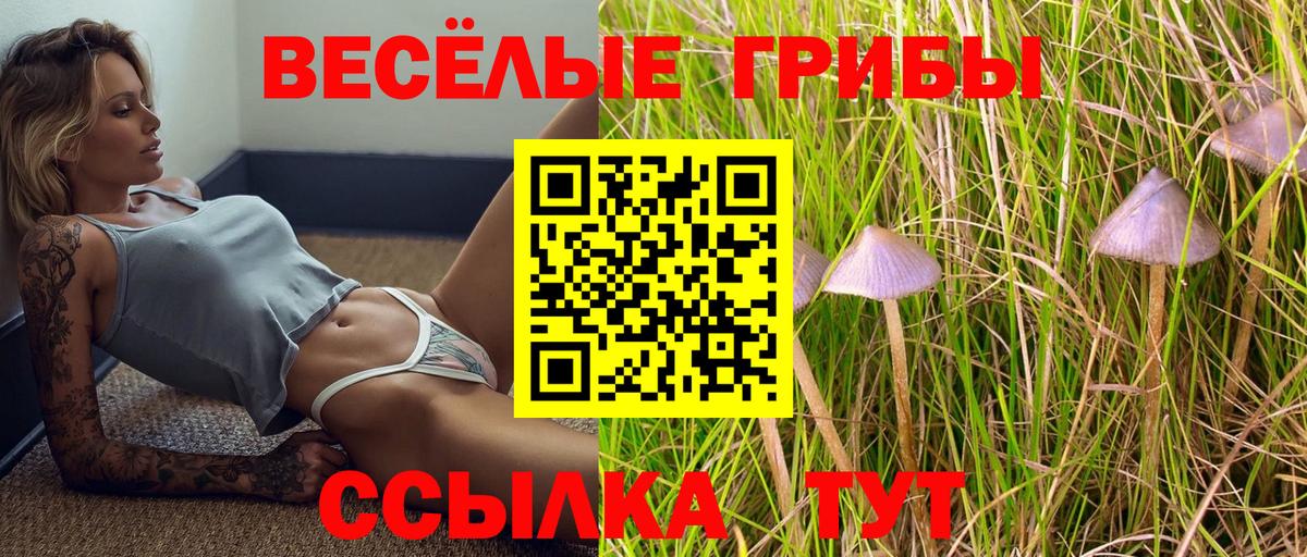 Галлюциногенные грибы Psilocybe  Псилоцибиновые грибы ЛСД  Вход с VPN  Нижний Новгород 